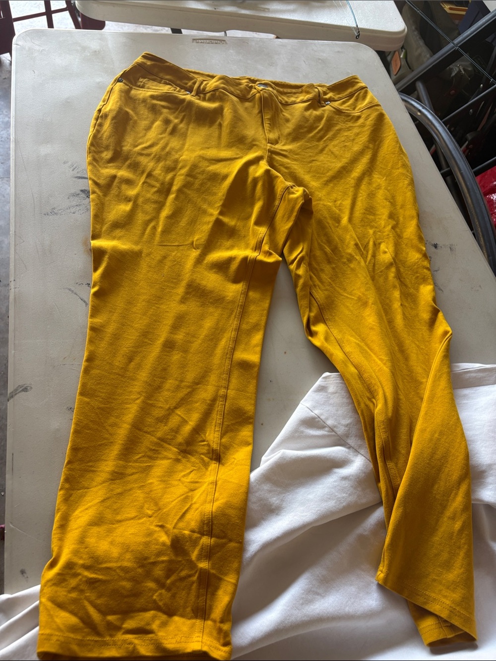 Cato Straight Leg Pants in Mustard Yellow